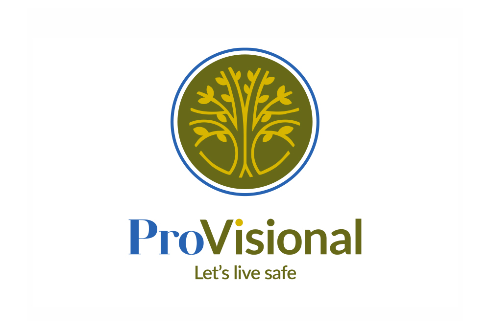 Logo ProVisional