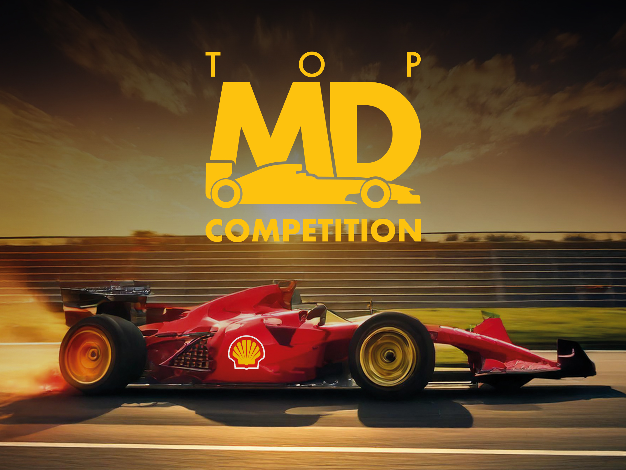 14.TOP MD 20122013