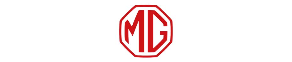 Logo MG Paraguay